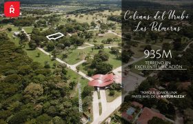 Vendo terreno condominio Las Palmeras