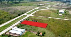 TERRENO EN VENTA PARQUE INDUSTRIAL LATINOAMERICANO